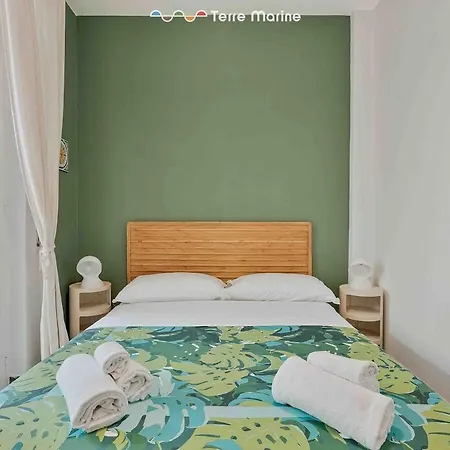 Blue Sign, Terremarine